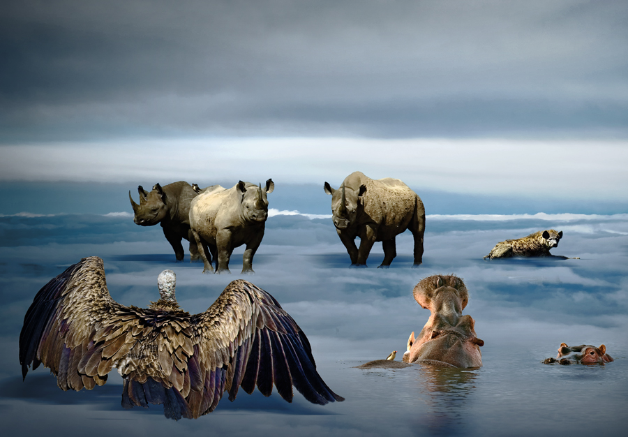 After The Last War, Artwork by Piet Flour. we always tend to think our grandchildren will not find wildslife anymore ...
but it could be the opposite : 
the human is the only unneeded species for nature, and he is not aware.
