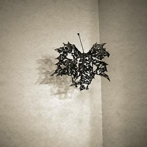 Leaf, photography by David Morris Cunningham. In Object, Still life