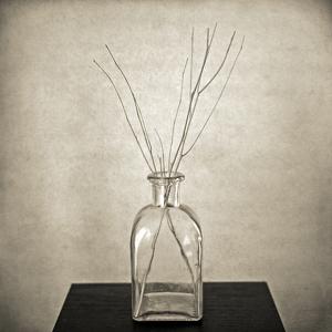 Glass Bottle With Three Twigs, photography by David Morris Cunningham. In Object, Still life