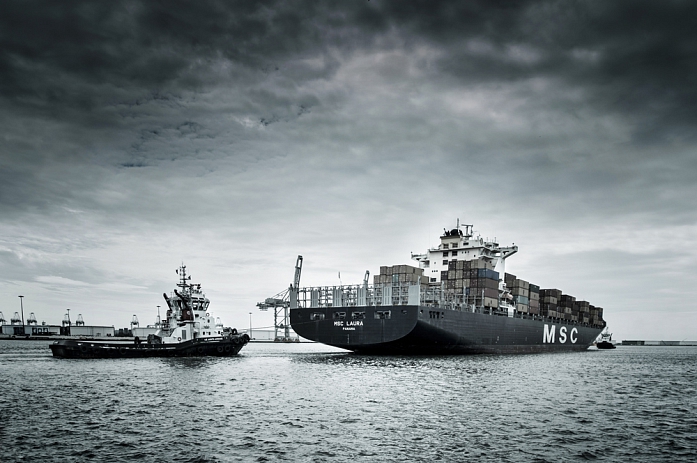 Msc, image by Jean-baptiste Poulain. Image #386987