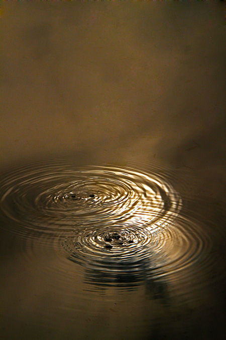 Golden Echos, photography by Sara Mohaddes. Gentel answers from the nature.... canon 500D. In Nature, Element, Water