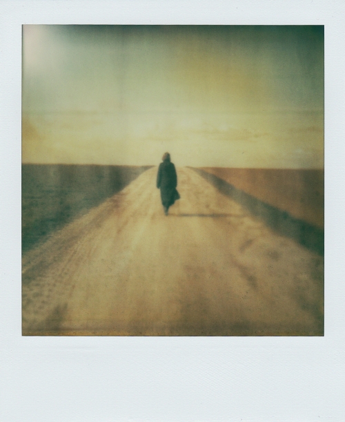 Partir loin, photography by Michael Meniane. Polaroid SX-70. In Nature, Scenery