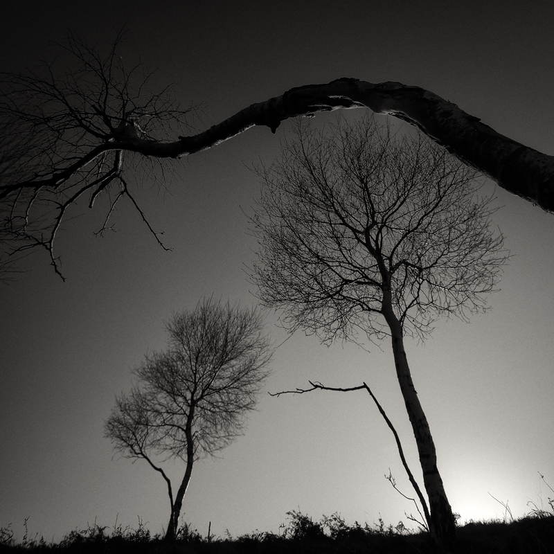 família I, Obra de Pierre Pellegrini.  Imagem # 131524