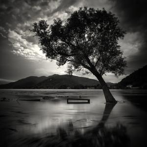 light after the storm by Pierre Pellegrini
