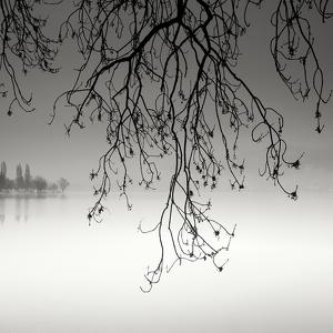 Day of rain I by Pierre Pellegrini