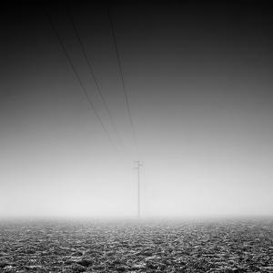Cold Winter Ii by Pierre Pellegrini
