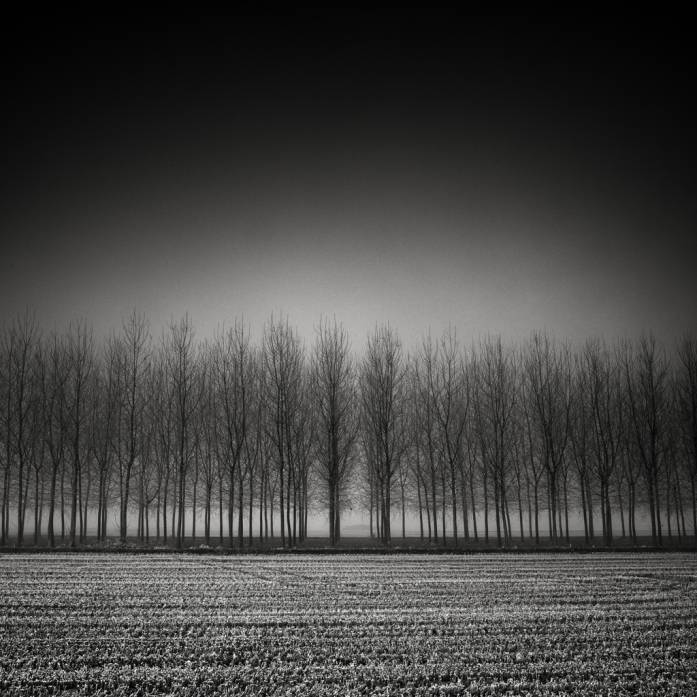 In Nature, Scenery, Countryside. Alignment Disturbing, photography by Pierre Pellegrini. Image #259480