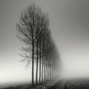 Aligned by Pierre Pellegrini