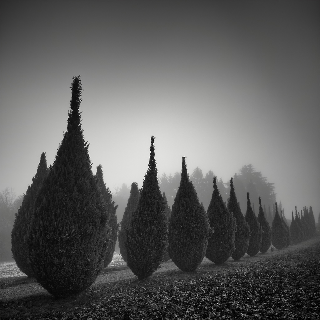 503CW Hasselblad, digitalback.  Na Construção, Place, Garden Park,.  Avenue, fotografia de Pierre Pellegrini.  Imagem # 427796