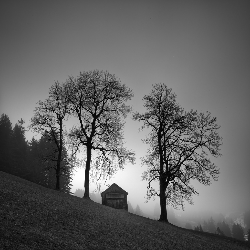 Hasselblad 503CW, digital back. In Construction, Edifice, House. You Protect We, photography by Pierre Pellegrini. Image #429726