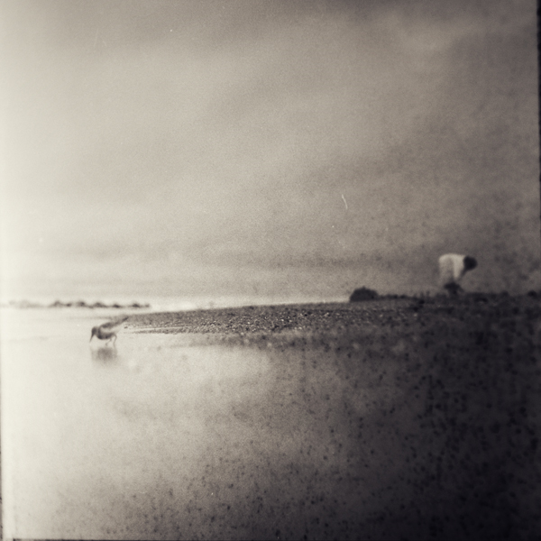 A Bit, Artwork by Mindaugas Gabrenas. Kiev 88, Svema 65