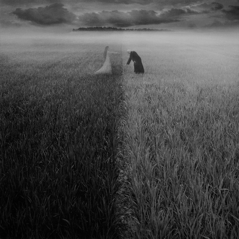 Borderline, processing by Dariusz Klimczak