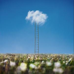 The Ladder by Dariusz Klimczak