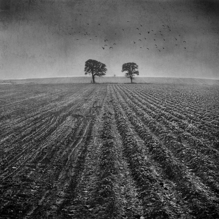Horizon, processing by Dariusz Klimczak. In Nature, Scenery