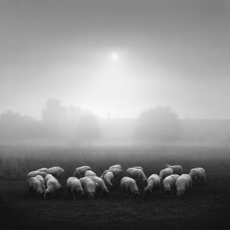 *****, photography by Dariusz Klimczak. In Nature, Scenery