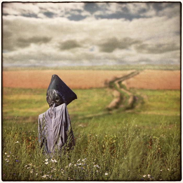 Gino Rossi, photography by Dariusz Klimczak. In Nature, Scenery