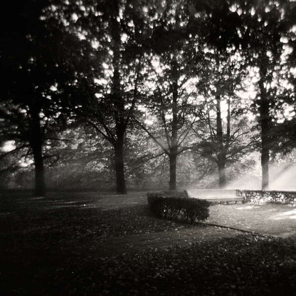 Untitled 6, Tallinn, Estonia, photography by Igor Sevtsenko. Holga. In Construction, Place, Garden, park
