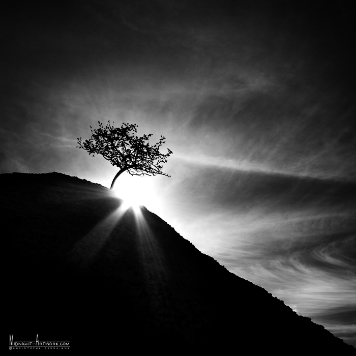 Afraid Of Sunlight, photography by Christophe Dessaigne. Canon 40D. In Nature, Scenery