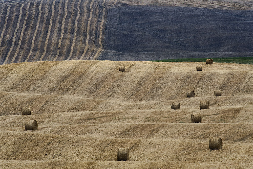 Felicita Pura II., photography by Jure Kravanja. In People, Everyday, Countryside