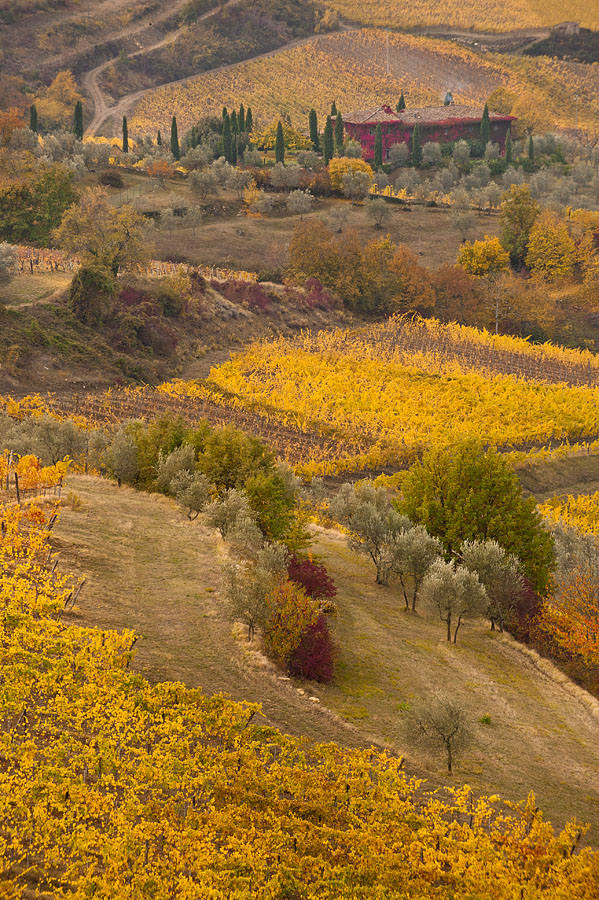 Colourland, photography by Jure Kravanja. In Nature, Scenery, Countryside