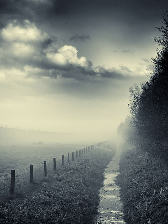 Haze, photography by Marinus Wieten. Hasselblad H3DII With 28 mm 4.0. In Nature, Scenery, Countryside