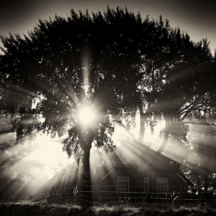 Hasselblad H3DII With 120 mm 4.0. In Nature, Scenery, Countryside. Light, photography by Marinus Wieten. Image #213102