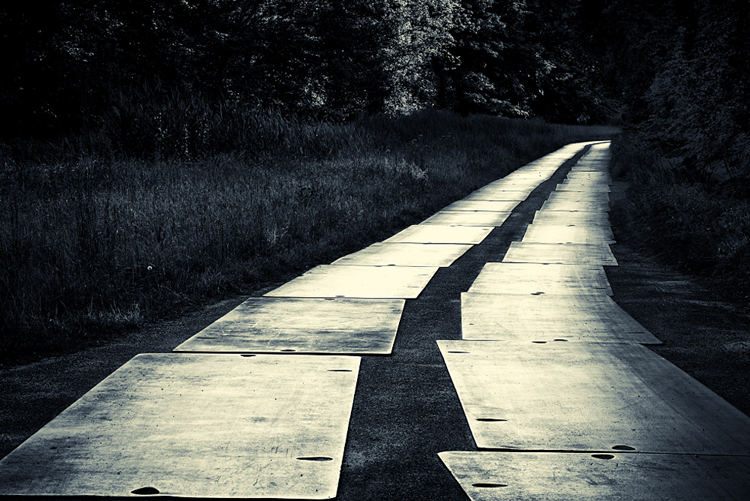 Disturbed Nature, photography by Marinus Wieten. Nikon D3X with 100 mm Carl Zeiss 2.0. In Nature, Scenery, Countryside