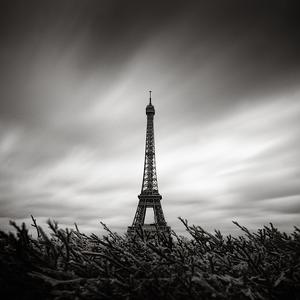 La Tour Eiffel, Paris, 2010 by Massimo Lorenzato