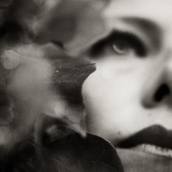 Among The Leaves by Loredana Guinicelli