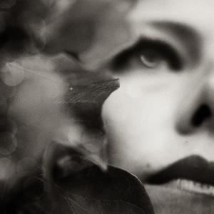 Among The Leaves by Loredana Guinicelli