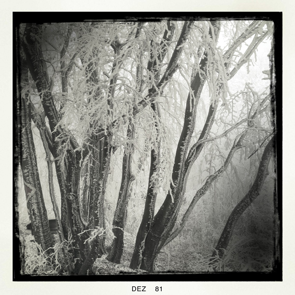 Wienerwald/vienna Forests, Artwork by Robert Wasinger. Hipstakatic blck an white film. iPhone