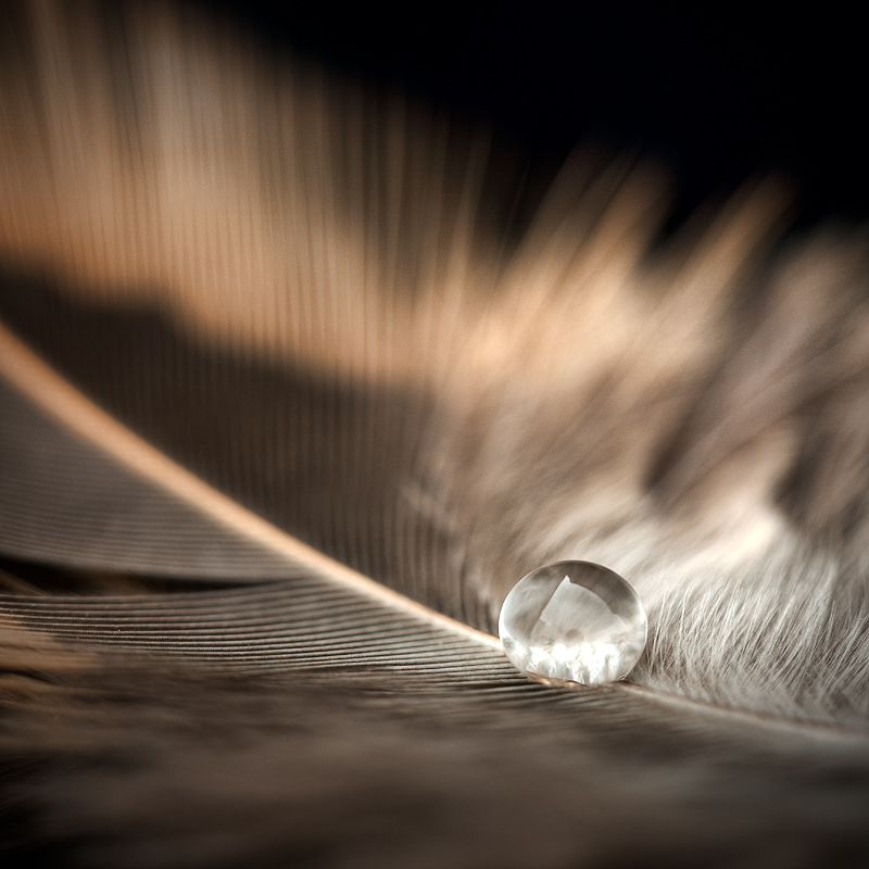 Drop 3, photography by Christian J&auml;hnert. In Nature, Element, Water