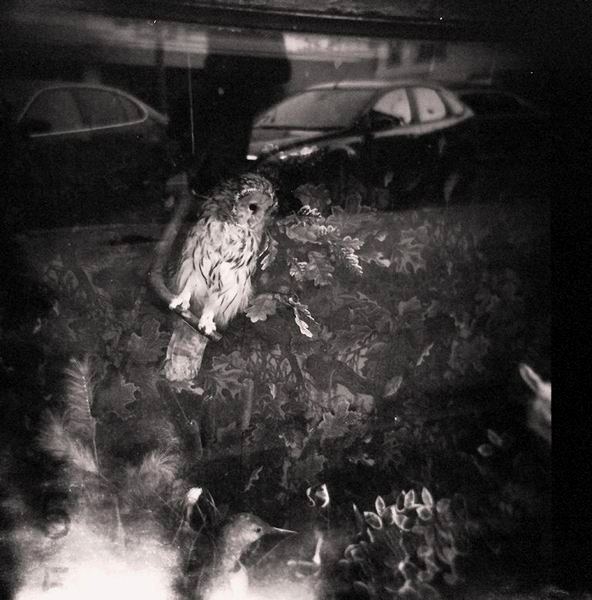 Insomnia 2, Artwork by Maxim Gureev. Holga