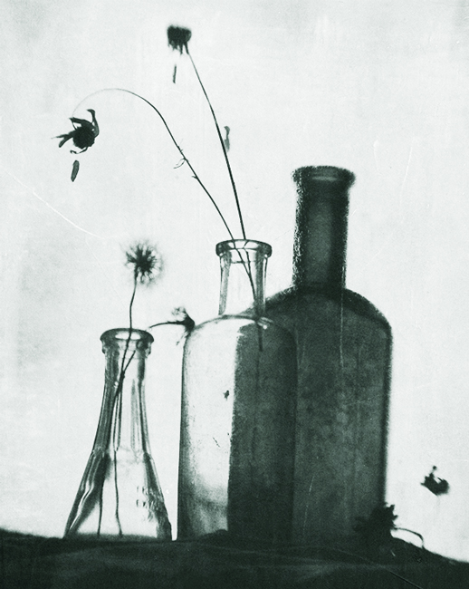 In Object, Still life. Untitled, photography by Olga Vlasova. Image #390897
