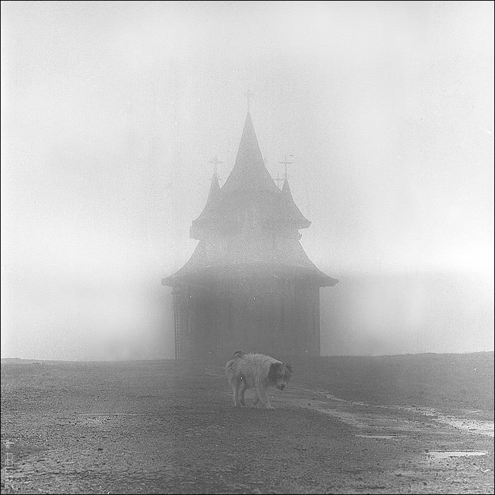 Untitled, Artwork by Filipoiu Marius. www.defelipe.ro. kiev 88cm. t-max 400