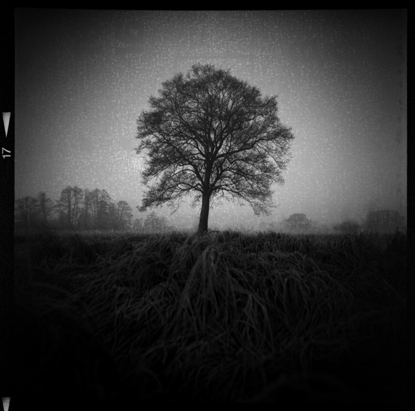 Untitled, Artwork by Emil Kowalik. Lubitel / Agfa Pan 400 expired 1991 / LC29
