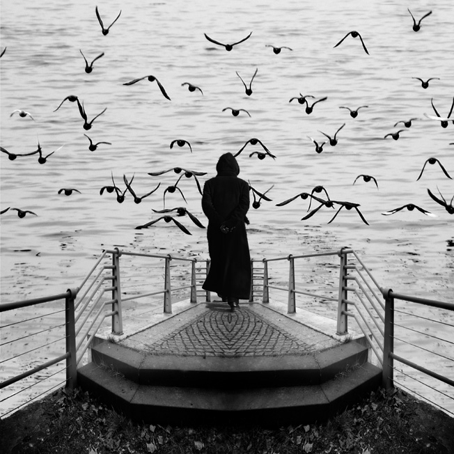 Untitled, photography by Michael Lebed. Nikon D 700. In Nature, Animal, Aquatic life