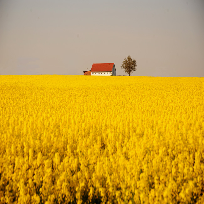 Untitled, photography by Michael Lebed. Nikon. In Nature, Scenery, Countryside