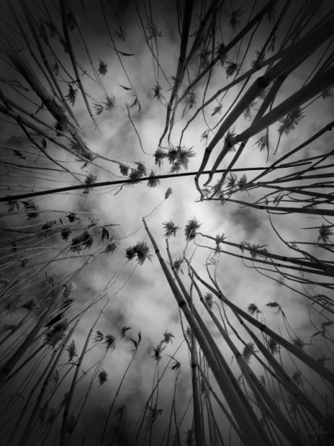 across, photography by Gintaras Kasperionis. In Nature, Sky
