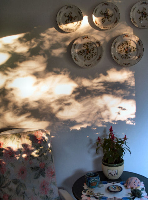 Dusk Dehers, photography by Guelfo Ajello. In Construction, Interior