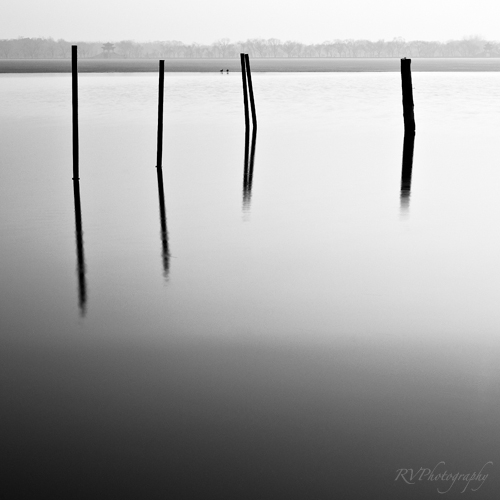 Nen9301, photography by Renen Viola. Nikon D700, 24-70 mm