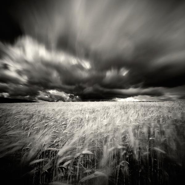 In the wind by Lionel Orriols