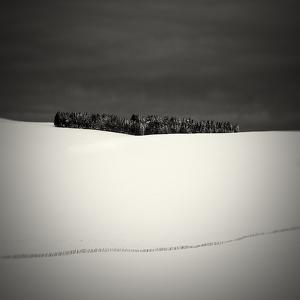 Scar # VII by Lionel Orriols