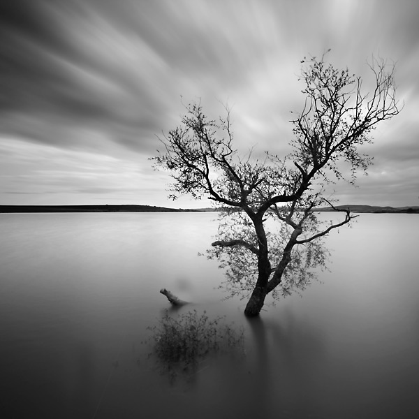 Canon EOS 40D, Canon EF-S 10-22mm f/3.5-4.5. Long exposure. In Nature, Scenery, Waterscape. Tout seul, au milieu du lac, photography by Yal&ccedil;ın Varnalı. Image #164293