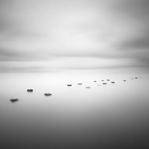 Should I Stay Or Should I Go ? by Yal&ccedil;ın Varnalı