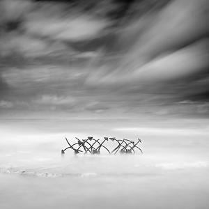 Anchors by Yal&ccedil;ın Varnalı