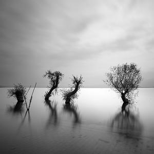 The Day After by Yal&ccedil;ın Varnalı