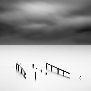 Seagulls Or Once Upon A Time by Yal&ccedil;ın Varnalı