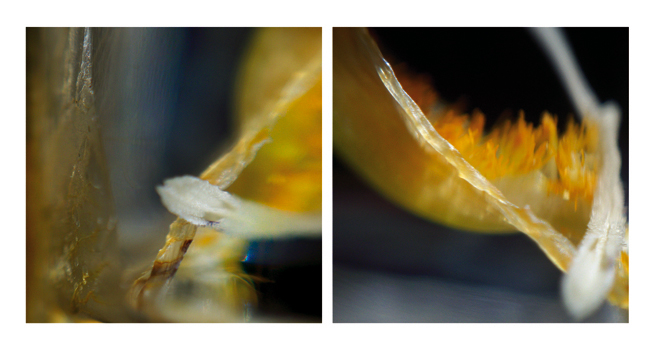 Matrice 7451, photography by Alain Brechbuhl. In Object, Still life