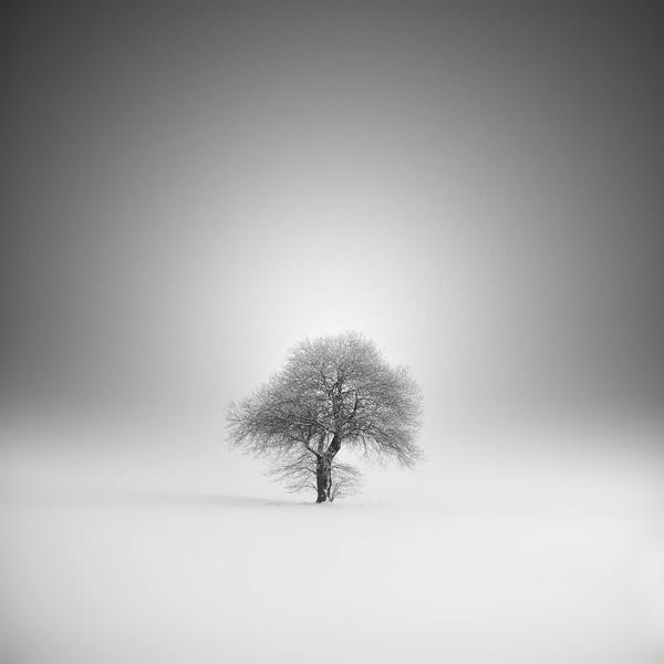 Lost by Maximilian+christian Baeuchle